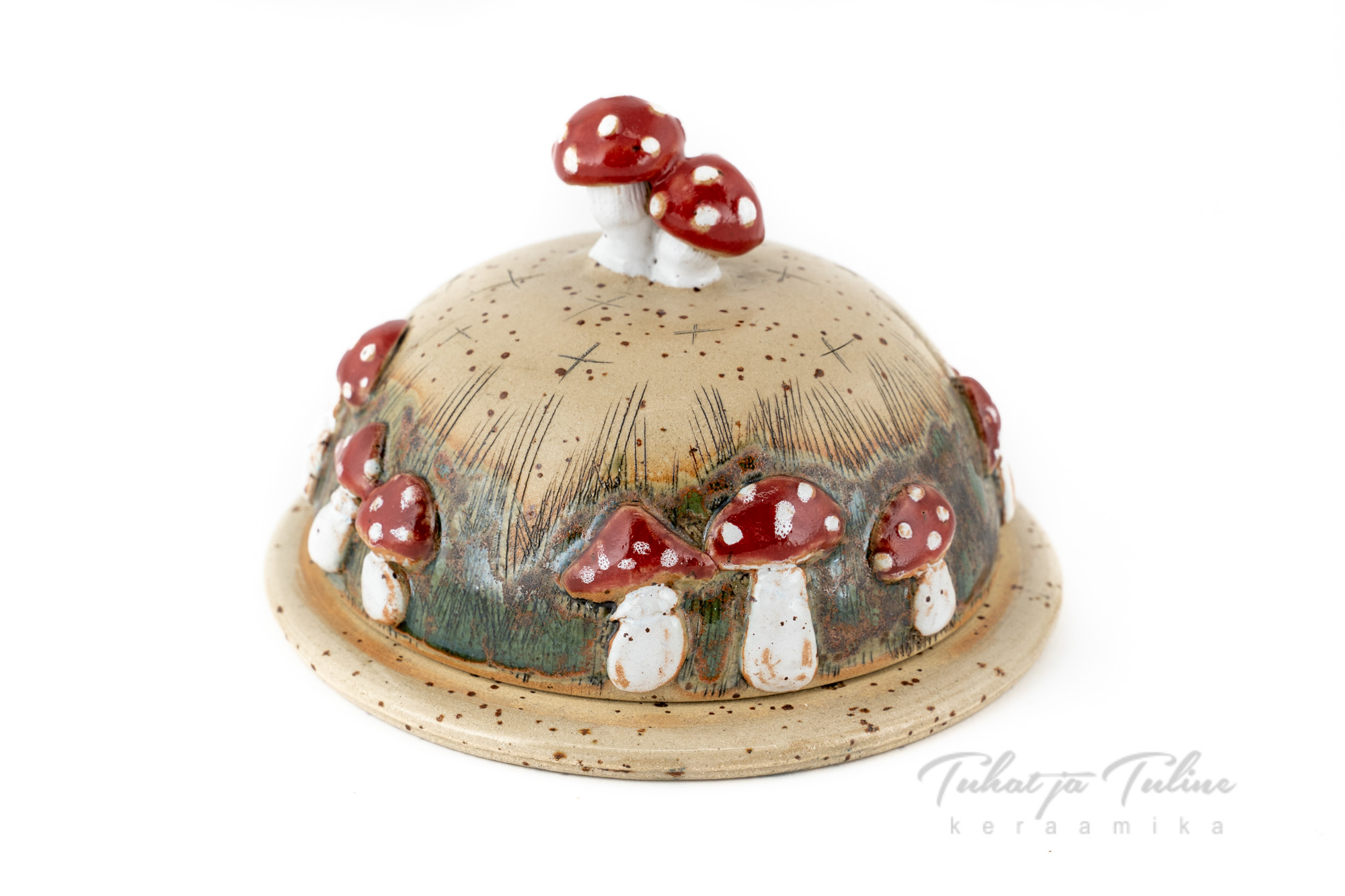 Kärbseseentega võitoos