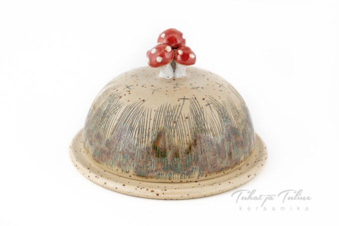 Kärbseseentega võitoos