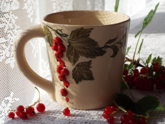 Punaste sõstardega kruus