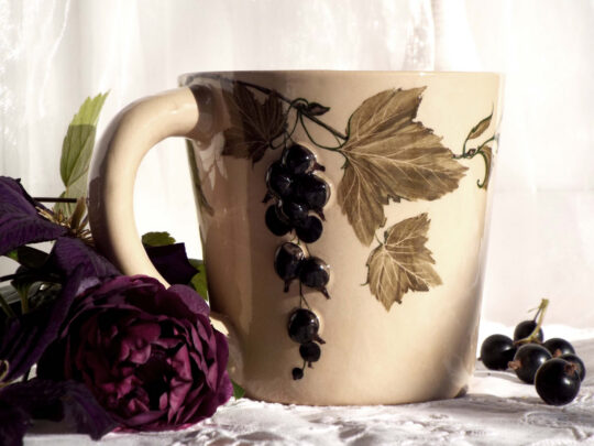 Mustade sõstardega kruus