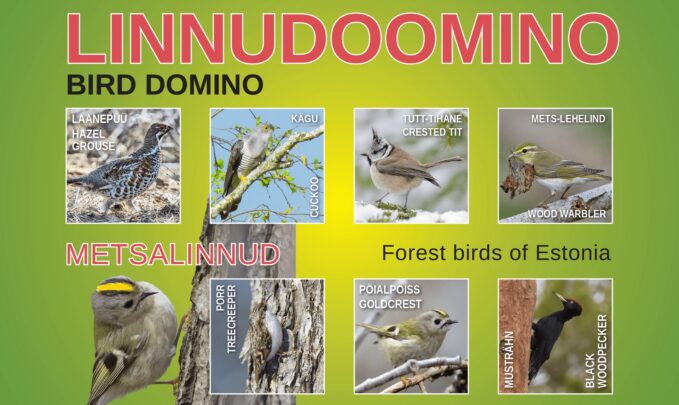 Linnudoomino. Metsalinnud