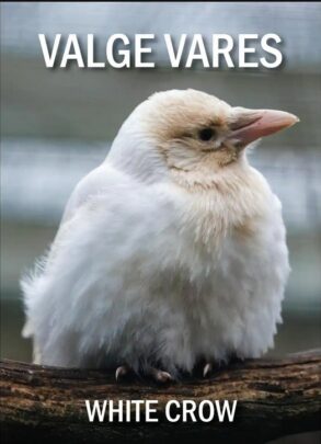 Kaardimäng Valge Vares