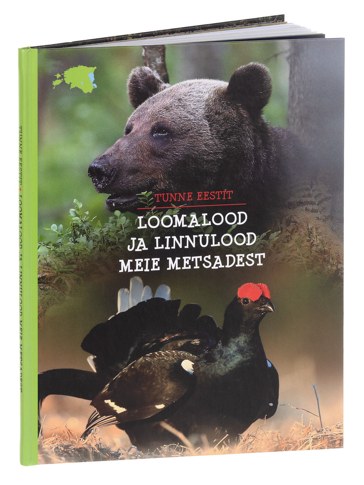 Loomalood ja linnulood meie metsadest