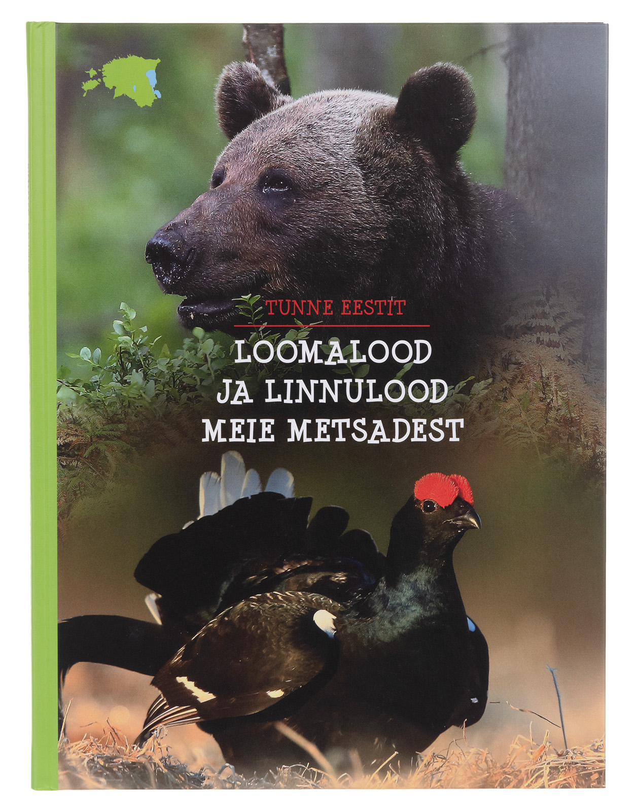 Loomalood ja linnulood meie metsadest - Pilt 3