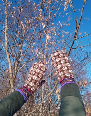 Lambavillast labakindad