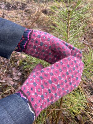 Lambavillast labakindad