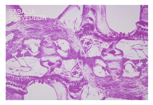 Postkaart „Monster Chetwynd. Saba ja sarvedega“